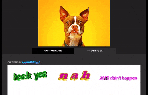 GIF by How To Giphy