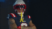 Football Nfl GIF by New England Patriots