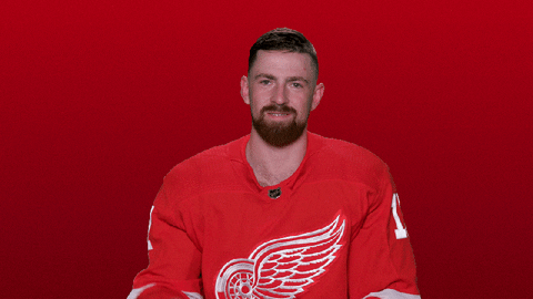 Red Wings Sport GIF by Detroit Red Wings