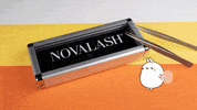 NovaLashUSA candy lashes nl lash GIF