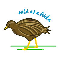 Blenheim Picton Sticker by MarlboroughNZ