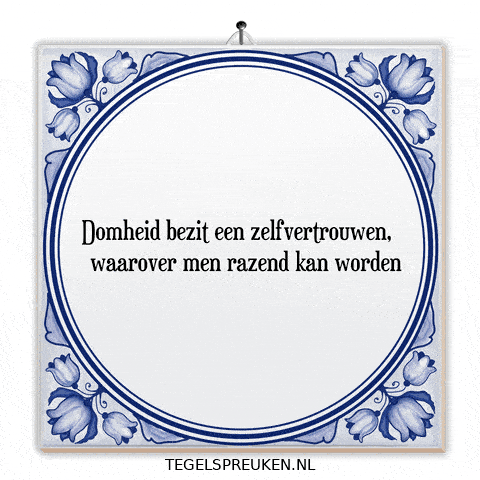 Wijsheid Zelfvertrouwen GIF by Tegelspreuken.nl