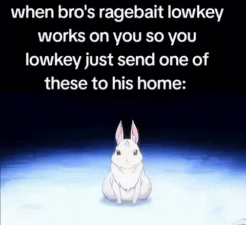 bomb_cat giphyattribution giphycreatortest rezero ragebait GIF