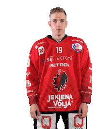 Hockey Hokej Sticker by HDD SIJ Acroni Jesenice