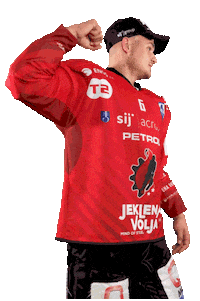 Hockey Hokej Sticker by HDD SIJ Acroni Jesenice