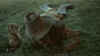old town road GIF by Lil Nas X