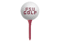 golf gold Sticker by Florida State University