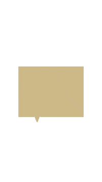 Gold Garnet Sticker by Florida State University