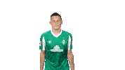 Maximilian Eggestein Bundesliga Sticker by SV Werder Bremen