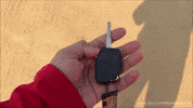 Driving Lets Go GIF by Namaste Car
