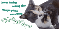 YoshimotoIndonesia cat sleepy kucing hiro Sticker