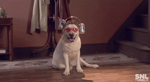 SNL gif. Dog has sunglasses and a beer cap on as it sits and pants, smiling at us.