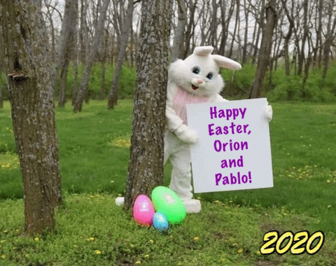 marie-emmagraves giphygifmaker GIF