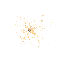 Seoyun Sticker by Instagram Tag In Virtual GIF Booth