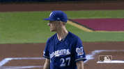 Major League Baseball Sport GIF by MLB