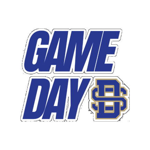 Dsa Athletics Sticker by Divine Savior Academy