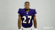 Celebrate Charm City GIF by Baltimore Ravens