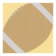 Purdue University Football GIF by Purdue For Life Foundation