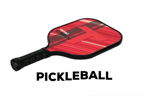 tansoracquets giphygifmaker pickleball paddle ilovepickleball tanso GIF