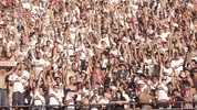 sao-paulinos GIF by São Paulo FC