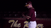 PRCCAthletics wildcats mississippi juco prcc GIF