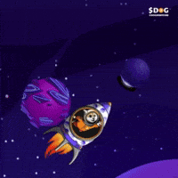 Dogofbitcoin dog runestone dog bitcoin dog go to the moon GIF