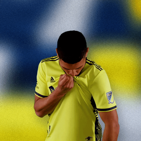 Major League Soccer Football GIF by Nashville SC