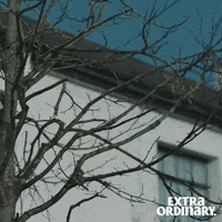 Extra Ordinary Movie GIF by Wildcard Distribution