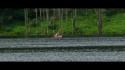 west virginia GIF