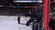 happy ice hockey GIF by NHL