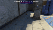 GIF by BLAST