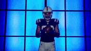 Football Sport GIF by Indianapolis Colts