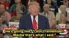 donald trump GIF