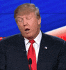 donald trump GIF by Mashable