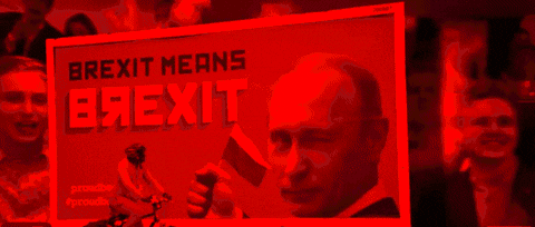 Llewelyn675 giphygifmaker human rights vladimir putin climate justice GIF