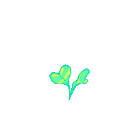 Flowers Grow Sticker