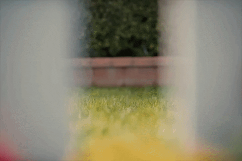 Best Friends Murder GIF by Kelsea Ballerini