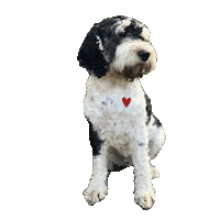 Heart Love Sticker