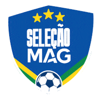 Copadomundo Sticker by MAG Seguros