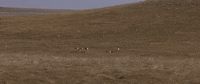 south dakota GIF