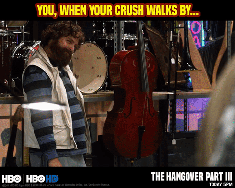 GIF by HBO India