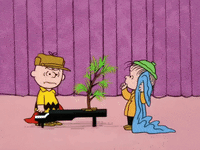 charlie brown GIF by Peanuts