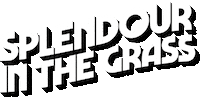 Festival Sitg Sticker by Splendour in the Grass