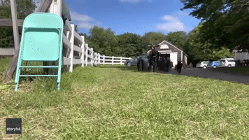 Maine Farm Offers Yoga With Adorable Goats