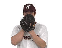 키움히어로즈 Sticker by Kiwoom Heroes Baseball Club