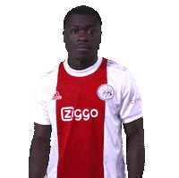 Brian Ziggo Sticker by AFC Ajax
