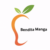 benditamanga bikini swimwear beachwear modapraia GIF
