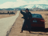 Hyundai Sonata Dance GIF by broke