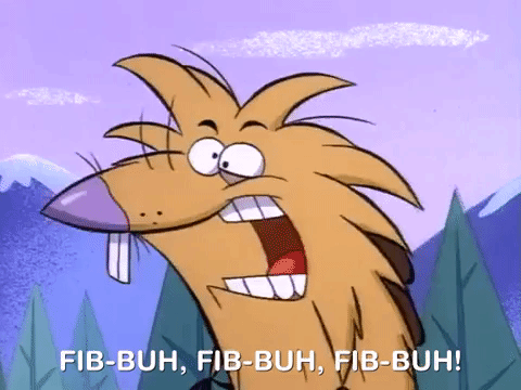 nickrewind giphydvr nicksplat angry beavers giphyab006 GIF