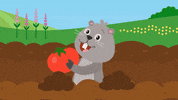 Farm Farming GIF by Mother Goose Club